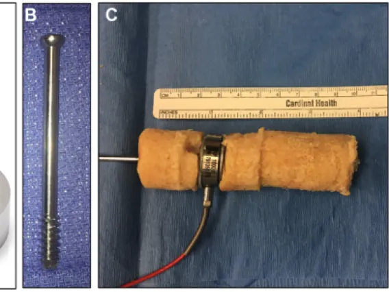 Experimental set-up for a study of compression in hindfoot fusion surgery