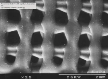 Engineered polymer bone scaffolding